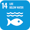 SDG 14