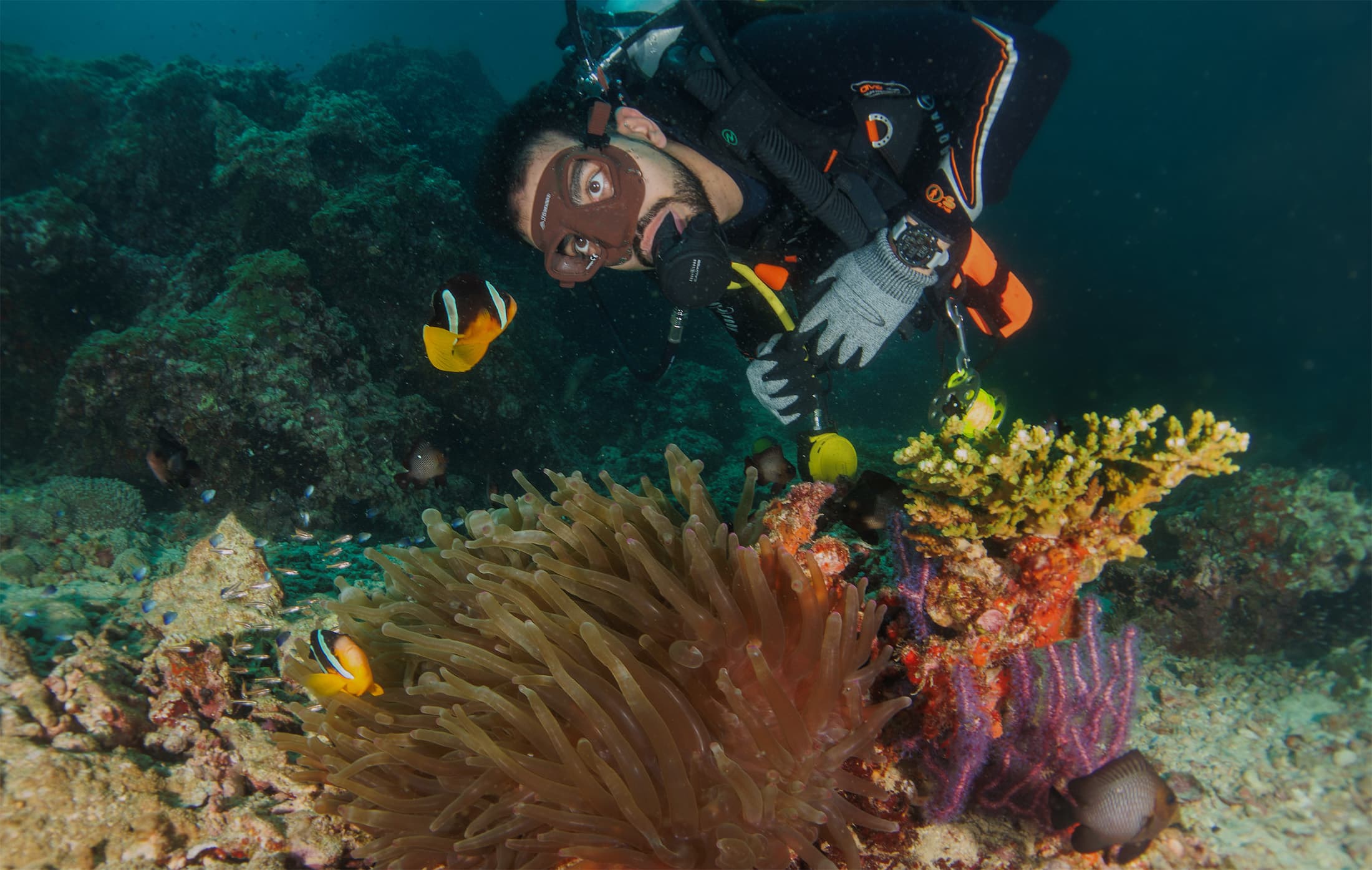 DISCOVER AN UNDERWATER PARADISE